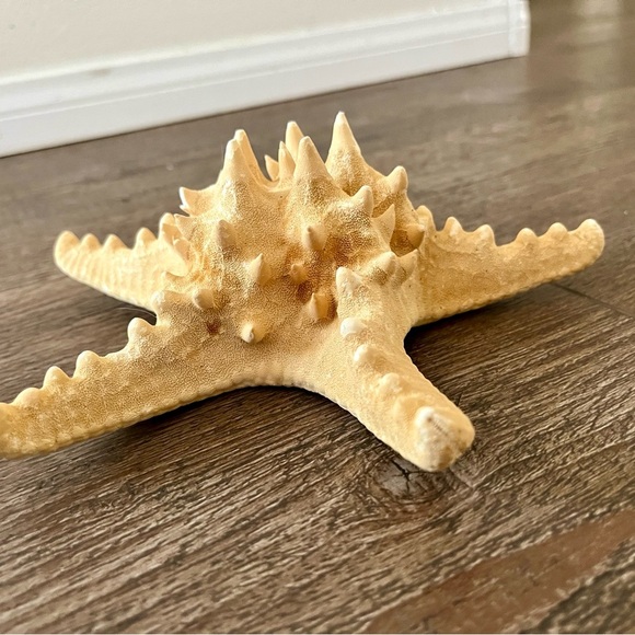 Decorative Starfish Set with Pink Accent - Picture 6 of 13